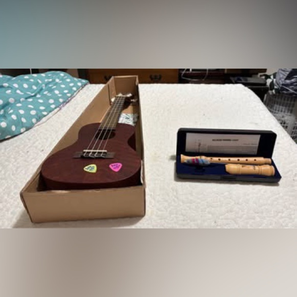 Instruments with cases Bundle
